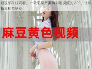 麻豆短视频在线观看，一款汇聚各类精彩短视频的 APP，让你随时随地畅享视觉盛宴