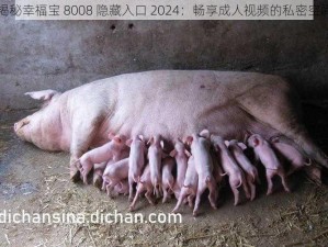 揭秘幸福宝 8008 隐藏入口 2024：畅享成人视频的私密空间