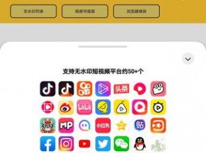 成品短视频软件站大全app,成品短视频软件站大全 app 有哪些？