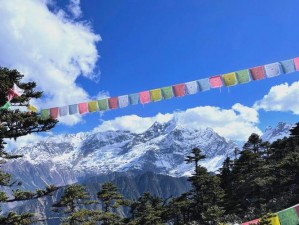 神湖探宝攻略：玩转门派神湖探宝活动之旅