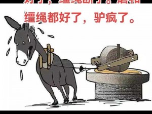 [品牌名称]，让你的精力像驴一样旺盛