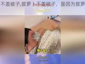 拔萝卜不盖被子,拔萝卜不盖被子，是因为拔萝卜太累了吗？