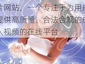 小小 11 孩岁女 A 片网站，一个专注于为用户提供高质量、合法合规的成人视频的在线平台