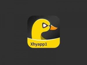 小黄鸭app最新版—小黄鸭 app 最新版，让你的生活更便捷