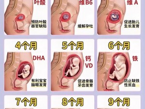 xxxxⅹ日本孕妇xx孕交 xxxxⅹ日本孕妇xx孕交是否涉及违法内容？