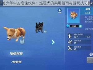 逃跑少年中的绝佳伙伴：巡逻犬的实用指南与游玩技巧探索