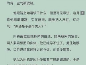 白洁高义张敏小说_白洁高义张敏小说之激情燃烧的岁月