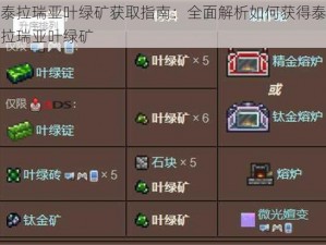 泰拉瑞亚叶绿矿获取指南：全面解析如何获得泰拉瑞亚叶绿矿