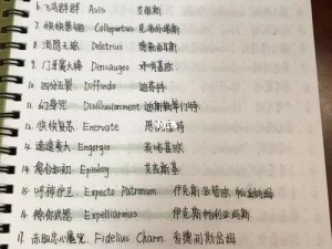 哈利波特魔法觉醒魔咒课攻略大全：解锁咒语秘密，轻松通关秘籍指南