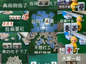 南上加南麻将：表情包盛行，乐趣无穷的游戏新风尚