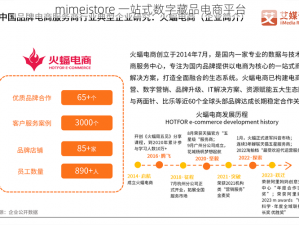 mimeistore 一站式数字藏品电商平台