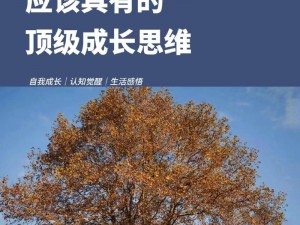 挺秃然的转变：适应人生多元化转折的挑战