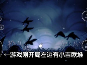 空洞骑士：灵魂扭曲者打法攻略与技巧分享——资深玩家攻略秘籍解读如何轻松战胜灵魂扭曲者