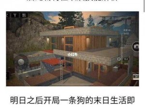 明日之后：宠物喂养的多元作用与深度解析