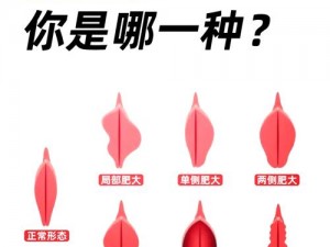 fxxx性女性-如何定义具有 fxxx 性的女性？