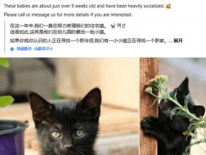 种子猫(你想知道种子猫的哪些方面呢？)