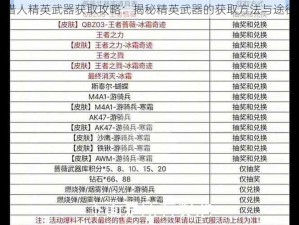 秘宝猎人精英武器获取攻略：揭秘精英武器的获取方法与途径介绍