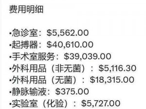 《解析医疗账单：爸爸生命续航的医疗结算全解密》