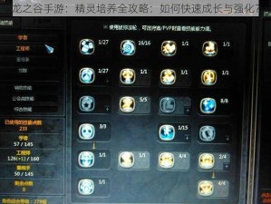 龙之谷手游：精灵培养全攻略：如何快速成长与强化？