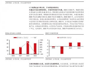 好公司额外市场增长功能的重要性及作用解析