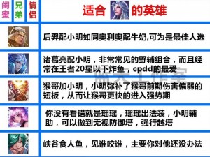 王者荣耀双排套路详解：脏套路英雄搭配指南，双黑上分战术大揭秘