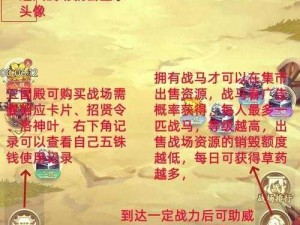 三国淘金热潮退去，创业者何去何从？探寻背后的真相与未来走向