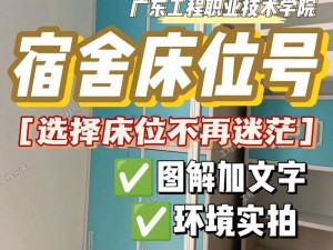 双点校园宿舍床位挑选技巧解析：如何根据实际需求选择最佳床位组合策略？