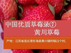 国产草莓视频、如何评价国产草莓视频的质量？