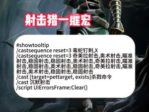 魔兽世界怀旧服猎人宏命令运用技巧与攻略：高效操作体验升级秘籍