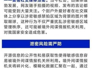 艺坊经营漏洞导致灾难蔓延：解析艺坊管理漏洞及其对社会的深远影响