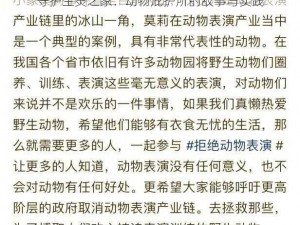 守护生灵之家：动物庇护所的故事与实践