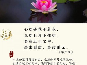 心似莲花开是什么意思【心似莲花开，是一种怎样的心境？】