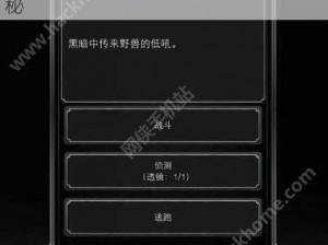 地下城堡2教团镜子获取攻略：解锁镜子之秘，探秘奇幻地下世界征程揭秘