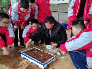 在开垦老师肥沃的土地上，种出高产的智慧之苗