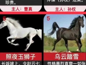 三国传奇英雄赤兔赤驹属性揭秘：神秘坐骑的传奇背景与英勇表现