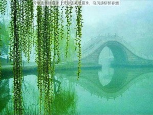 芳草迷离隐露珠【芳草迷离隐露珠，晓风拂柳醉春烟】