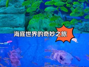 海底进化世界的神秘面纱：惊艳截图预览探索深海奇迹之旅