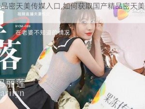 国产精品密天美传媒入口,如何获取国产精品密天美传媒的入口？