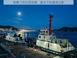 夜幕下的壮丽军港：星光下的港湾之影