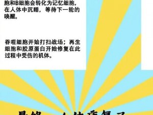 消灭病毒提升体力之秘诀：合理饮食结合运动训练与健康生活方式共同构建免疫力防线