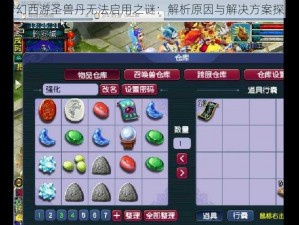 梦幻西游圣兽丹无法启用之谜：解析原因与解决方案探索