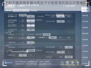 关于和平精英服务器当前处于分批登录阶段应对措施的探讨