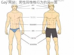 裸体肌肉男自慰Gay网站;探索裸体肌肉男自慰 Gay 网站：男性同性性行为的另一面