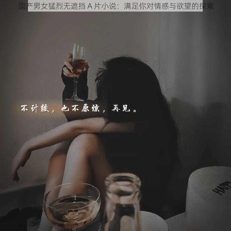 国产男女猛烈无遮挡 A 片小说：满足你对情感与欲望的探索