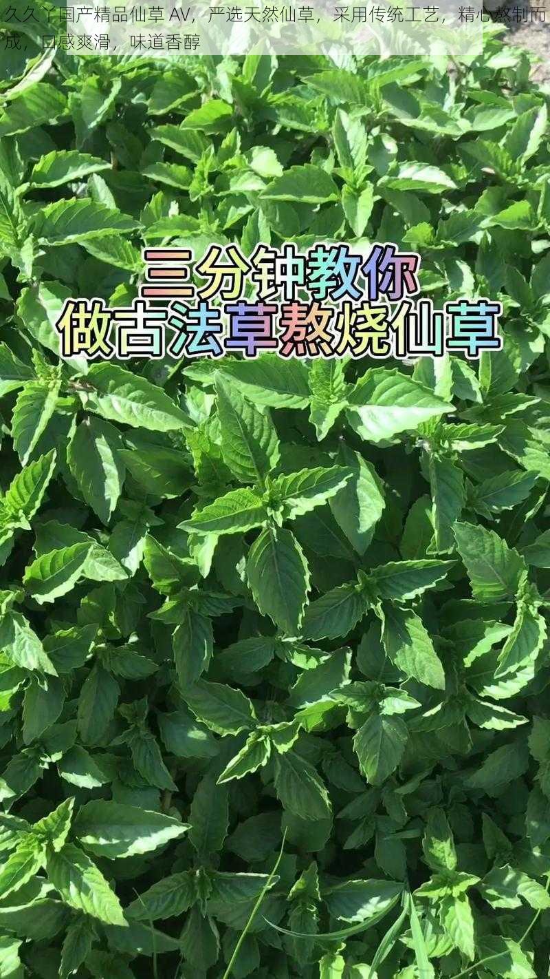 久久丫国产精品仙草 AV，严选天然仙草，采用传统工艺，精心熬制而成，口感爽滑，味道香醇