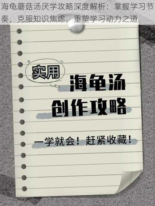 海龟蘑菇汤厌学攻略深度解析：掌握学习节奏，克服知识焦虑，重塑学习动力之道