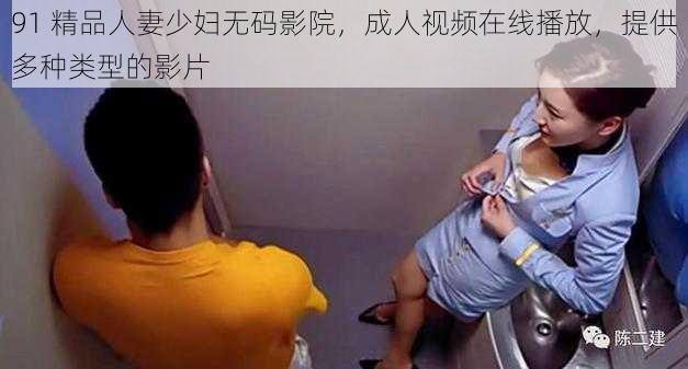 91 精品人妻少妇无码影院，成人视频在线播放，提供多种类型的影片