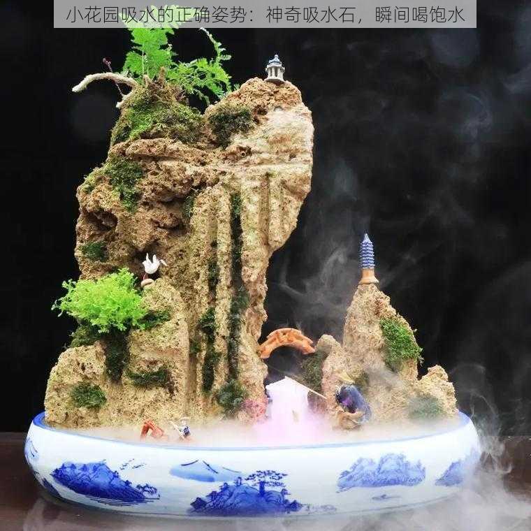 小花园吸水的正确姿势：神奇吸水石，瞬间喝饱水