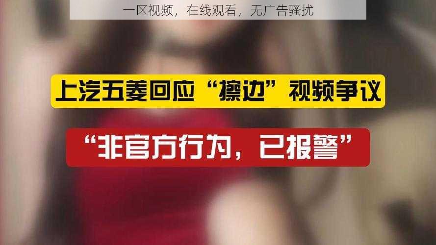 一区视频，在线观看，无广告骚扰