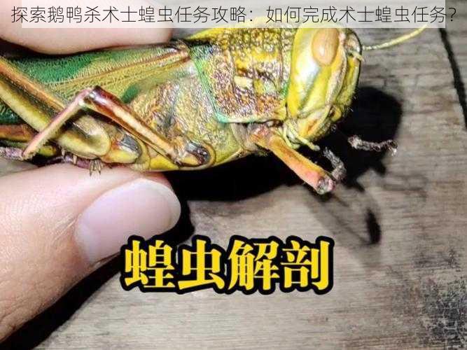 探索鹅鸭杀术士蝗虫任务攻略：如何完成术士蝗虫任务？